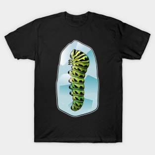 Caterpillar Ice cubes T-Shirt
